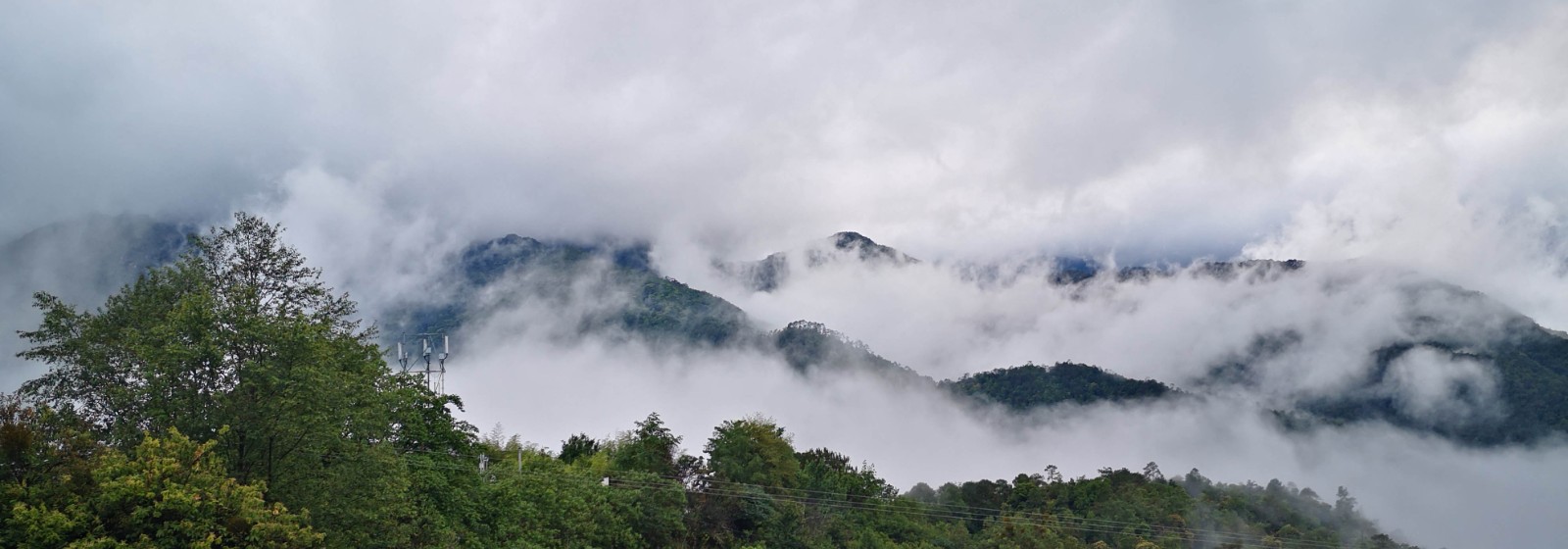 1717230365245083705.jpg 黄草岭.jpg