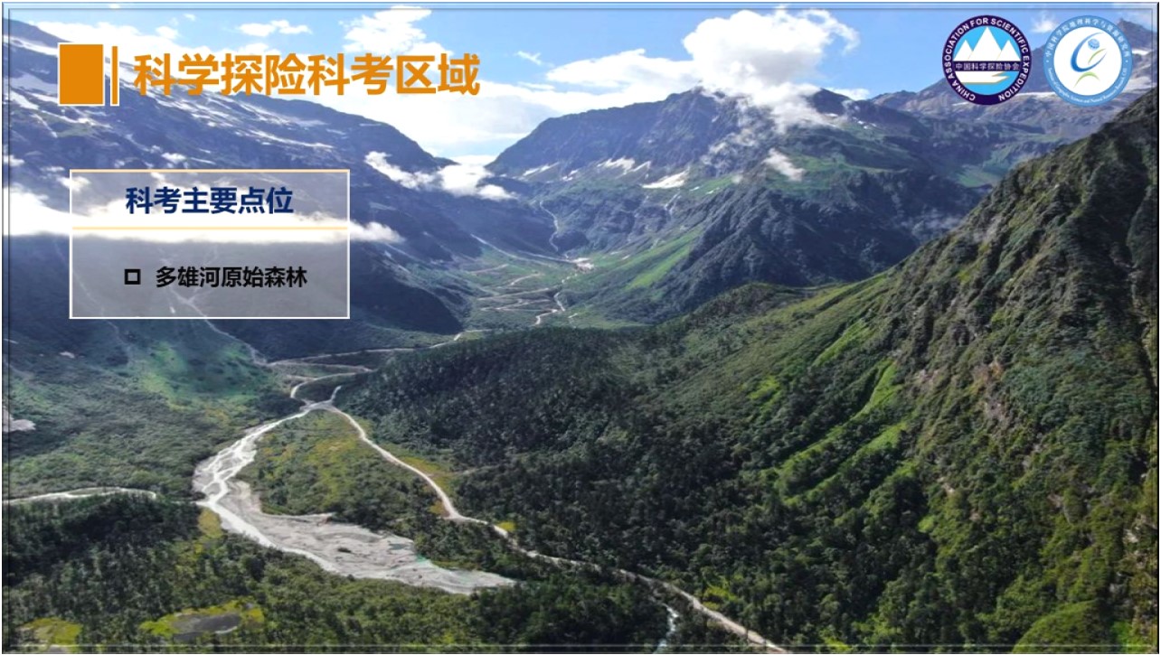 图片9.jpg