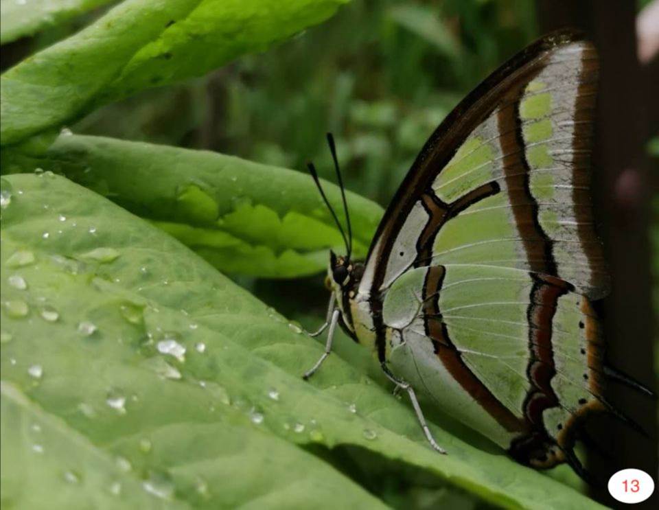 1596765087618026121.jpg 13号(孙祎阳).jpg