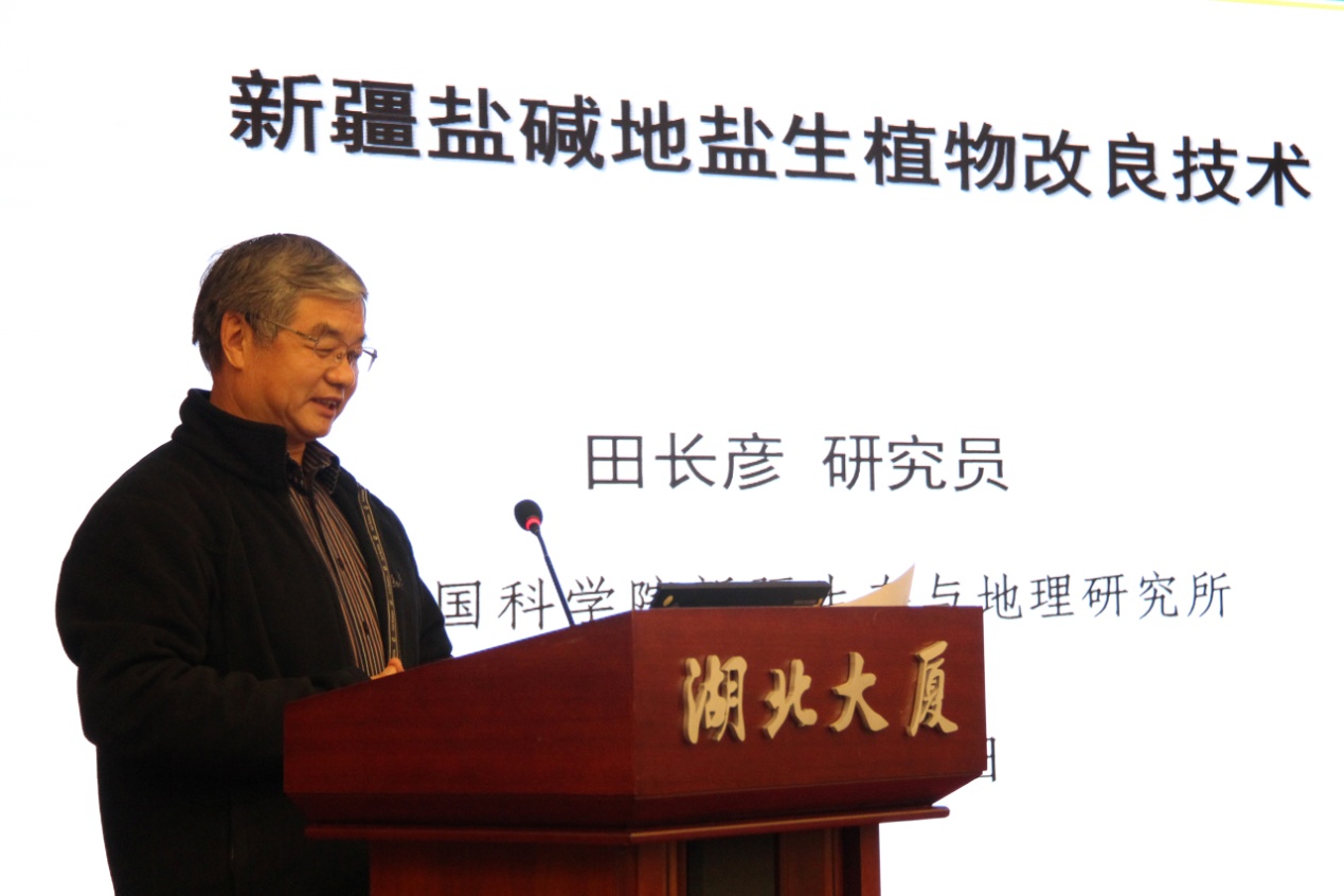 12。常务理事田长彦研究员做学术报告.jpg