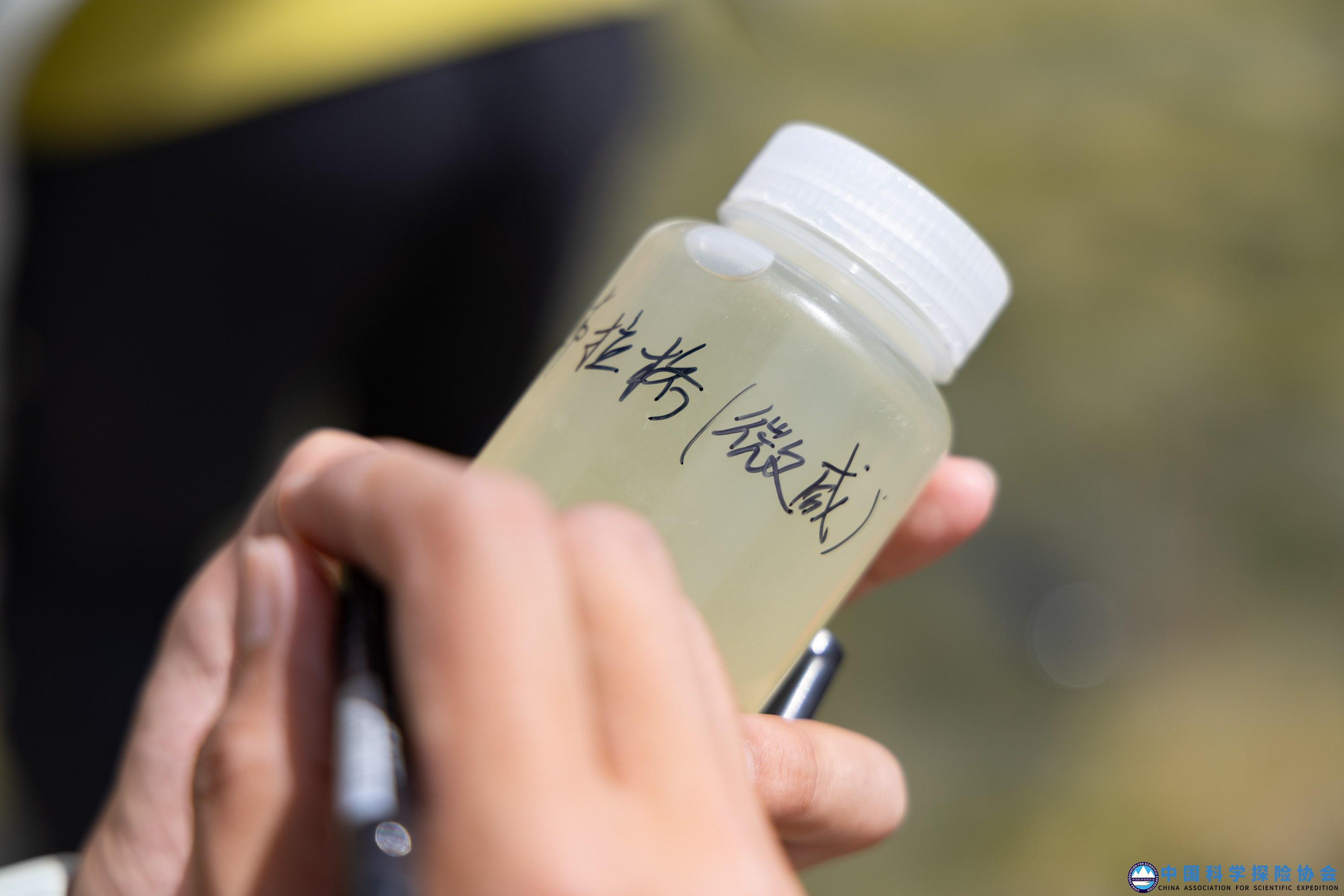 科学家水样.jpg